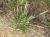 Img.VTax4190.Ex2.Img3