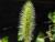 Img.VTax4193.Ex2.Img1