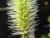 Img.VTax4193.Ex2.Img2