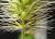 Img.VTax4193.Ex2.Img3