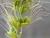 Img.VTax4193.Ex3.Img2