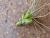 Img.VTax4193.Ex3.Img3
