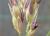 Img.VTax4201.Ex2.Img2