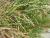 Img.VTax4201.Ex3.Img1