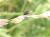 Img.VTax4201.Ex3.Img3
