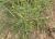 Img.VTax4201.Ex4.Img1