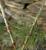 Img.VTax4204.Ex1.Img1
