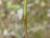 Img.VTax4204.Ex1.Img5