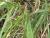 Img.VTax4204.Ex1.Img6