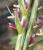 Img.VTax4204.Ex1.Img7