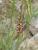 Img.VTax4204.Ex2.Img1