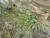 Img.VTax4204.Ex2.Img3