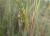 Img.VTax4205.Ex3.Img5