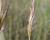 Img.VTax4205.Ex3.Img6