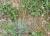Img.VTax4205.Ex3.Img7