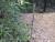 Img.VTax4225.Ex1.Img1