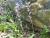 Img.VTax4226.Ex2.Img2