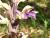 Img.VTax4226.Ex2.Img3