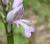 Img.VTax4247.Ex2.Img2