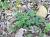 Img.VTax425.Ex1.Img3