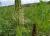 Img.VTax4283.Ex1.Img3