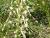 Img.VTax4283.Ex1.Img6