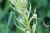 Img.VTax4283.Ex1.Img7
