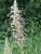 Img.VTax4283.Ex1.Img8