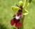 Img.VTax4299.Ex1.Img1