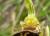 Img.VTax4303.Ex1.Img3