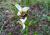 Img.VTax4303.Ex1.Img5