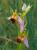 Img.VTax4303.Ex2.Img1