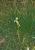 Img.VTax4303.Ex2.Img2