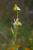 Img.VTax4303.Ex3.Img1