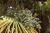Img.VTax4314.Ex1.Img1