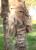 Img.VTax4314.Ex2.Img1