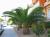 Img.VTax4316.Ex1.Img1