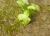 Img.VTax4327.Ex2.Img2