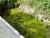 Img.VTax4327.Ex2.Img3