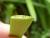Img.VTax4336.Ex1.Img2