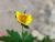 Img.VTax447.Ex3.Img3