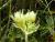 Img.VTax457.Ex1.Img1