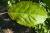 Img.VTax496.Ex1.Img1
