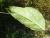 Img.VTax496.Ex1.Img3
