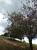 Img.VTax504.Ex1.Img1