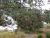 Img.VTax504.Ex1.Img2