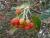 Img.VTax504.Ex1.Img3