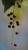 Img.VTax523.Ex1.Img1