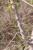 Img.VTax529.Ex1.Img1