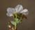 Img.VTax529.Ex1.Img3